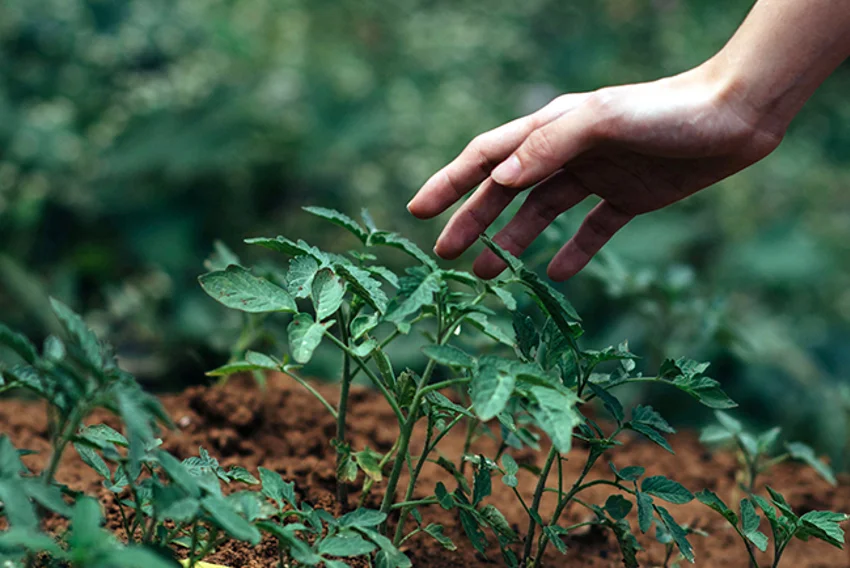Expertenberatung zur Stiftungsgründung bei Merck Finck