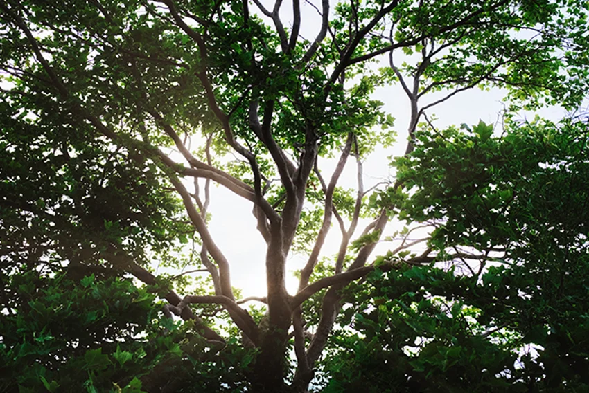 Merck Finck Stiftungsverwaltung in Aktion